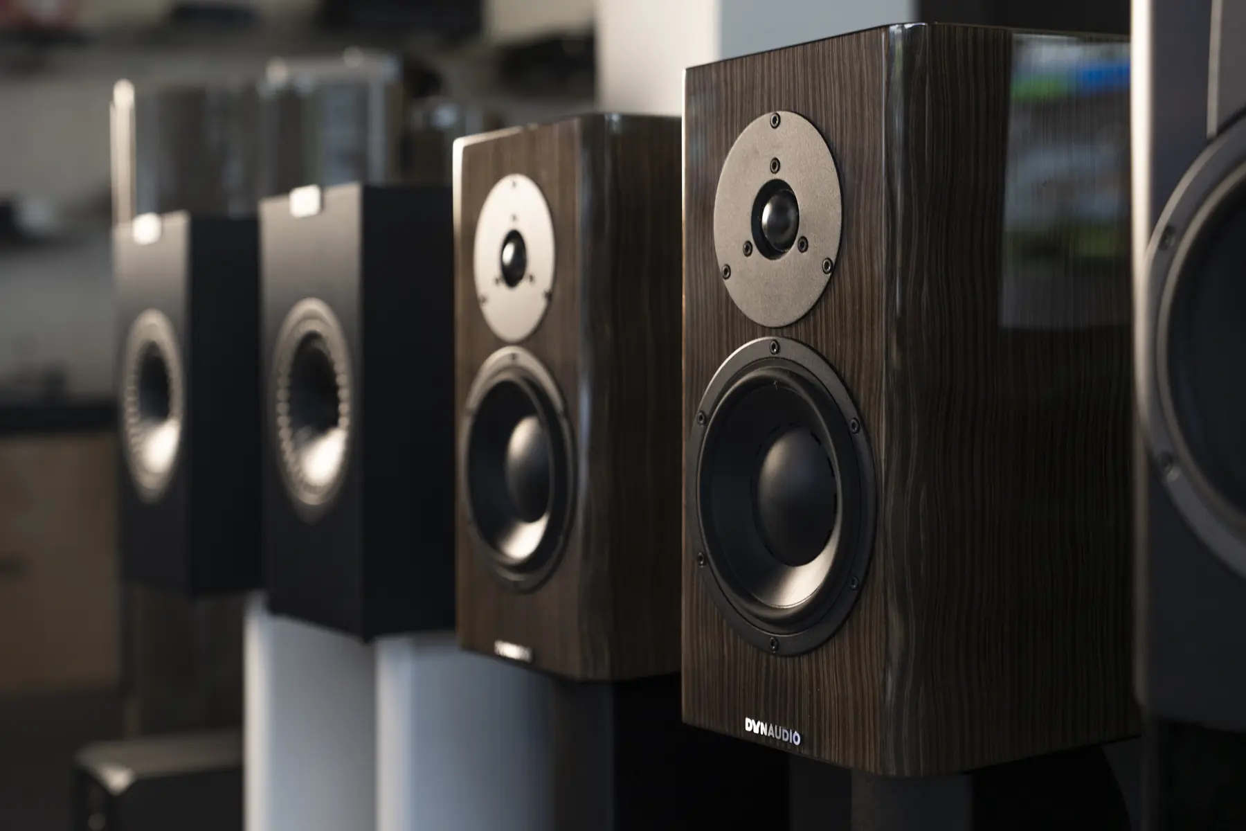 Auswahl verschiedener Dynaudio-Lautsprecher im Listening Club Gütersloh